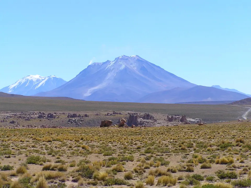 Altiplano boliviano con pastizales secos y un volcán nevado al fondo