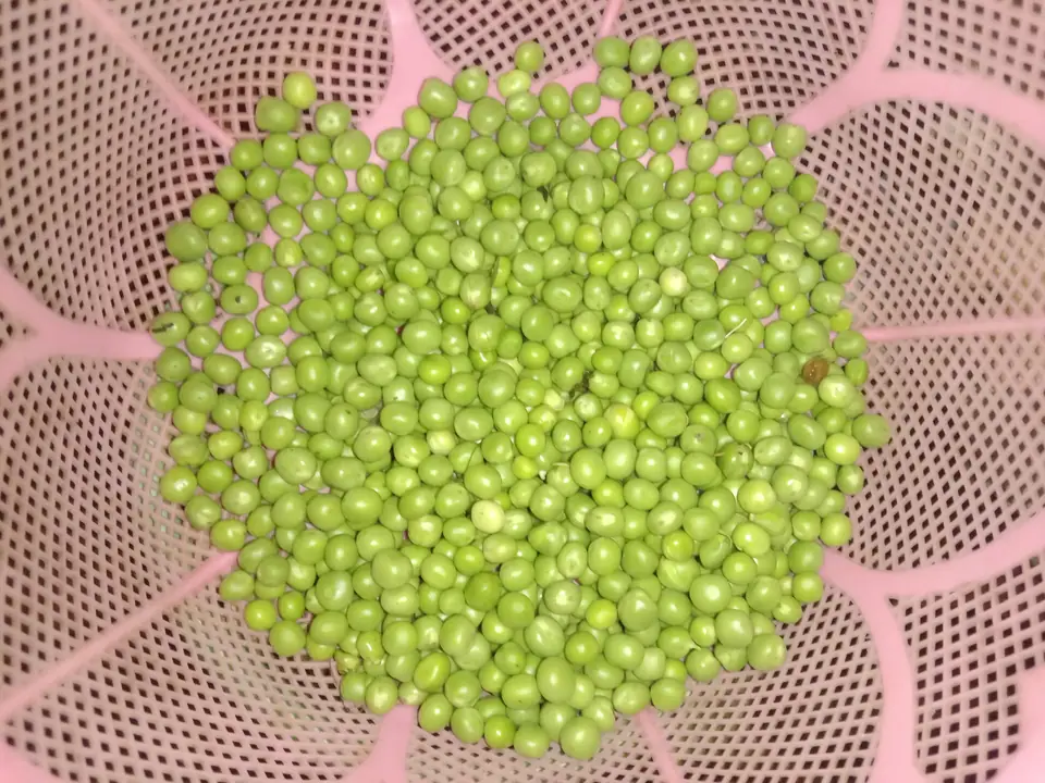 Arvejas frescas desgranadas en un colador de plástico rosado