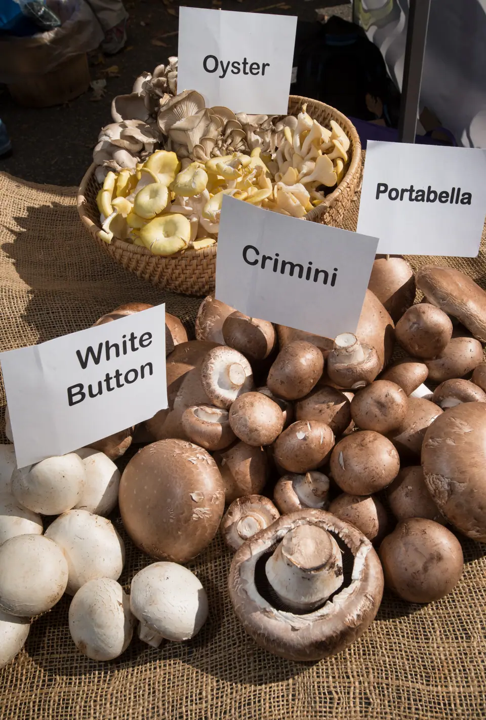 Variedad de hongos comestibles en exhibición: champiñones blancos, portobello, shiitake y otros