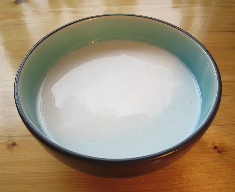 Leche de coco líquida servida en un bowl