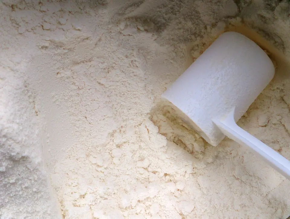 Leche en polvo blanca con una cuchara medidora de plástico