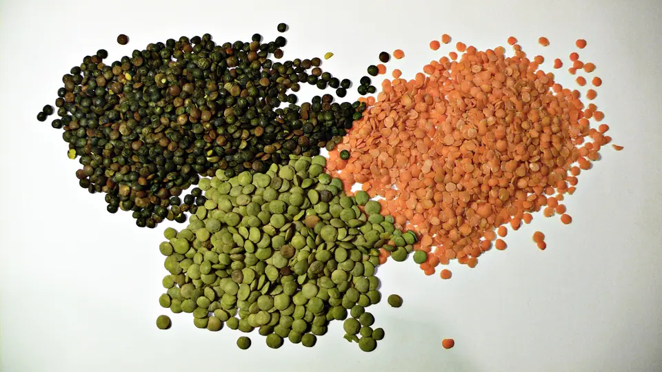 Lentejas secas de tres variedades, verdes, pardas y rojas, sobre fondo blanco
