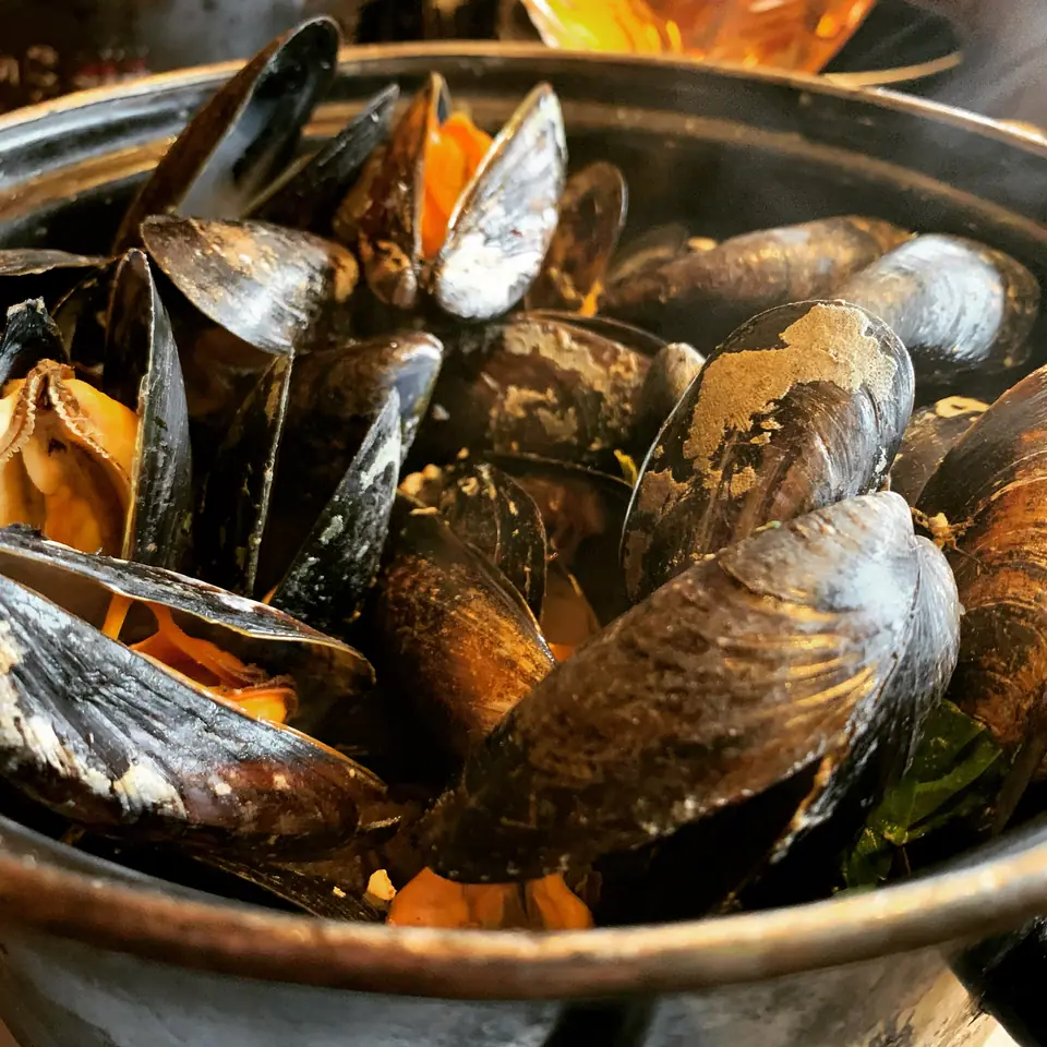 Cazuela de mejillones (moules marinières) recién cocinados en su concha