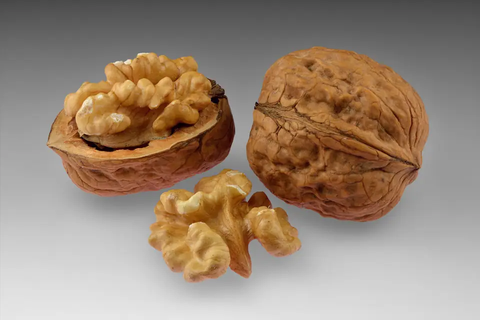 Nueces enteras y abiertas, con una mitad de nuez pelada, sobre fondo gris
