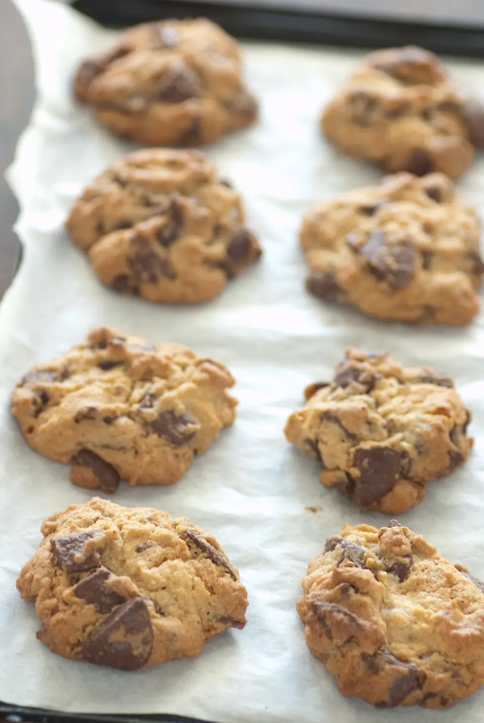 Galletas con chips de chocolate horneadas sobre papel manteca en una bandeja