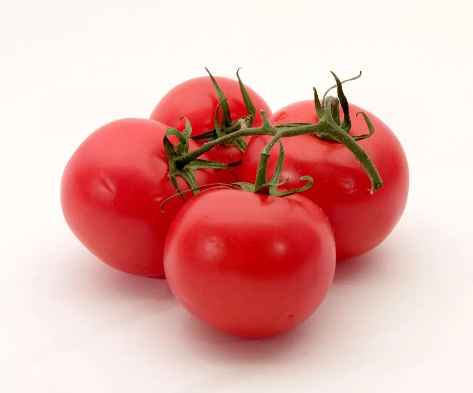 Racimo de tomates rojos maduros