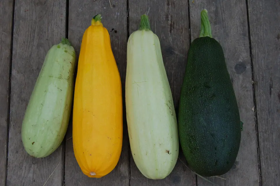 Cuatro zucchinis de distintas variedades, verdes claros, amarillo y verde oscuro, sobre una mesa de madera